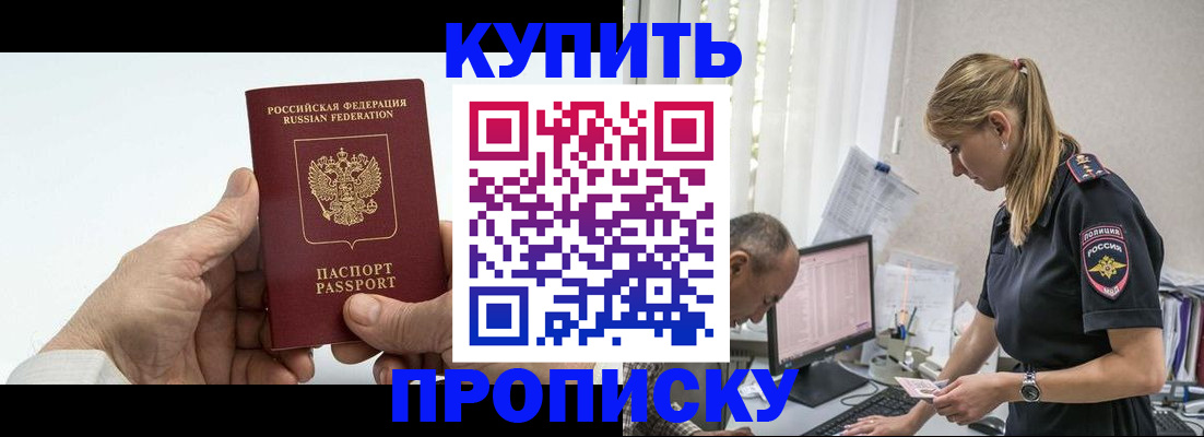 прописка поиск в Новом Осколе
